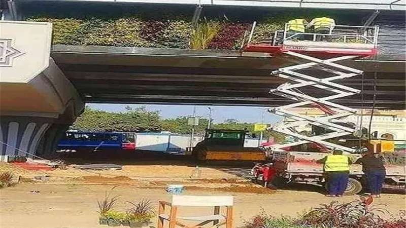 إنشاء أكثر من 25 إشارة مرور للمشاة في مصر الجديدة