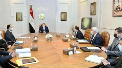 السيسي يوجه الحكومة بالإعداد الفوري لحزمة من الإجراءات المالية والحماية الاجتماعية