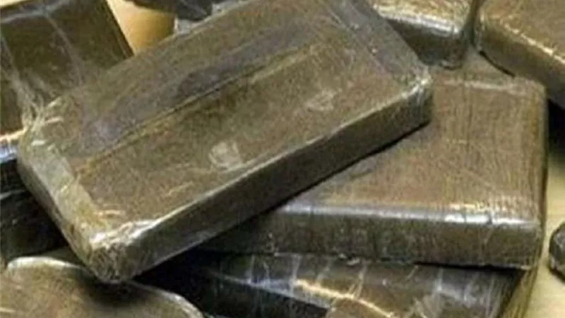 إدارة مكافحة المخدرات تنجح في ضبط نصف طن حشيش