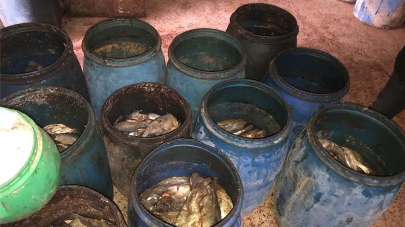 ضبط 10 أطنان مخلل و4 أطنان أسماك و3 أطنان فسيخ فاسدة بكفر الشيخ