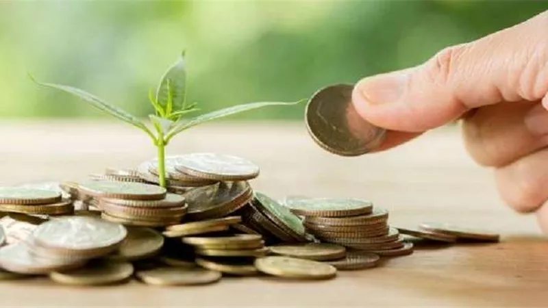 زكاة المال في الودائع البنكية على الأرباح أم رأس المال؟.. الإفتاء تجيب