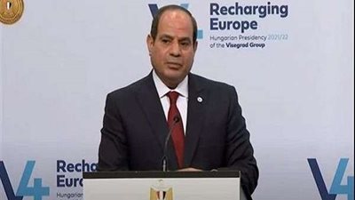 الرئيس السيسي: مصر كانت على وشك السقوط