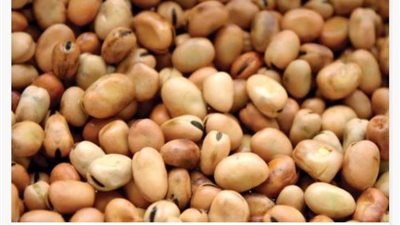 فوائد صحية ذهبية لطبق الفول على سحور رمضان 2022