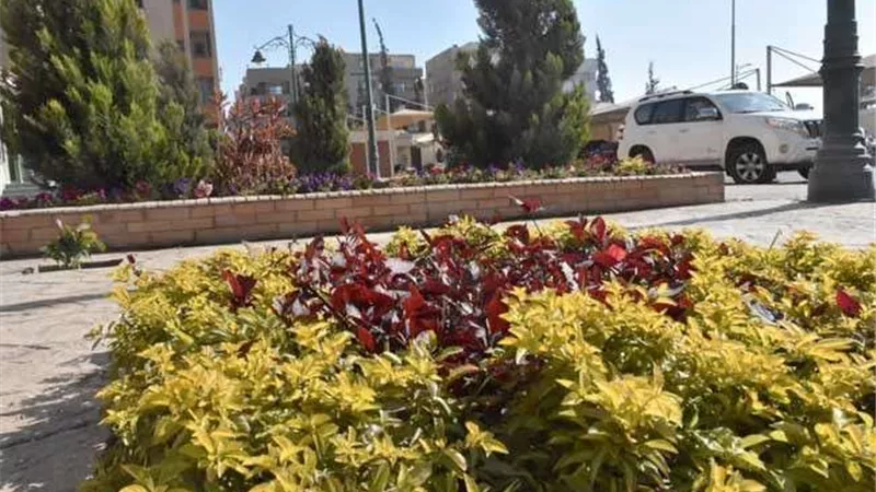 الجزار: بدء تسليم 552 وحدة سكنية بدار مصر في القاهرة الجديدة 2 فبراير