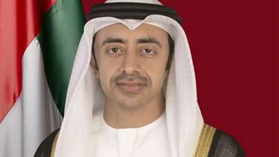 شاهد.. ماذا قال وزير خارجية الإمارات عن 