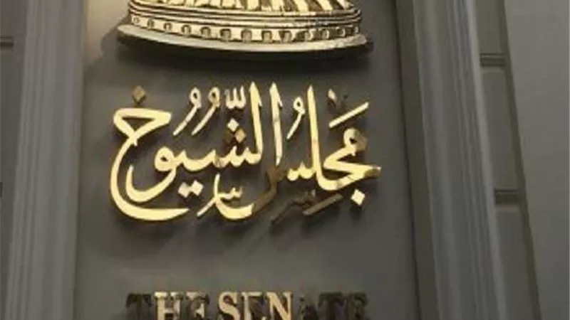 عضو بمجلس الشيوخ: الأزمة العالمية أشد من «كورونا».. فيديو