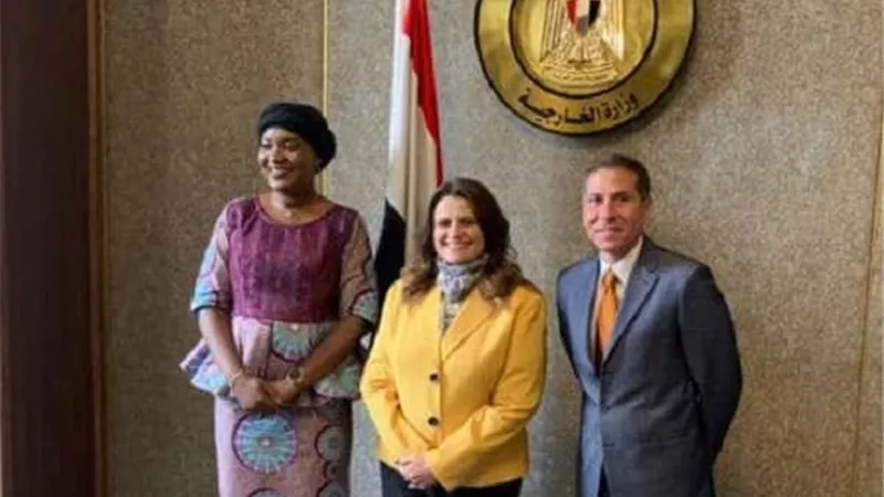 مساعد وزير الخارجية والأمين العام للوكالة المصرية للشراكة يستقبلان نائبة وزير سيراليون
