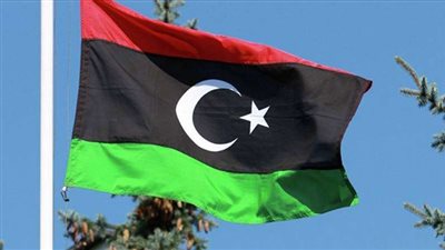 وزير خارجية الإمارات يزور الجزائر لإجراء مباحثات حول ليبيا