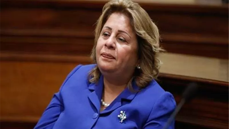 مقترح برلماني بإنشاء وزارة للشئون الإفريقية