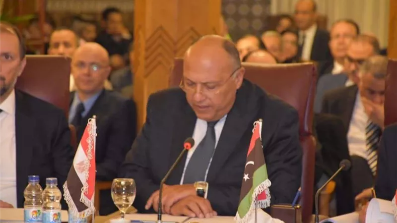 نص كلمة سامح شكري في اجتماع الجامعة العربية الطارئ بشأن فلسطين