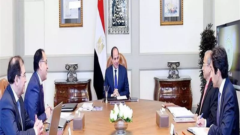 السيسي يتابع استراتيجية قطاع البترول وأهم إنجازاته خلال الفترة الأخيرة
