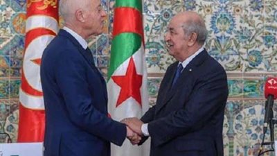 لمناقشة القضية الفلسطينية والأزمة الليبية.. مباحثات بين الرئيس التونسي ونظيره الجزائري