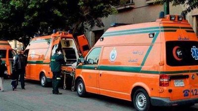 إصابة 7 أشخاص إثر انقلاب سيارة على الطريق الزراعى بالقليوبية