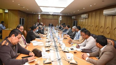 شعبة المستوردين.. تطالب بوقف التعامل بالدولار في مصر
