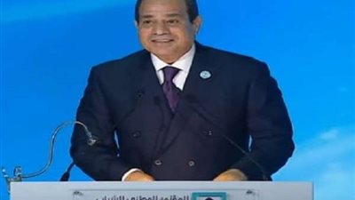 الرئيس السيسي يُشيد بعودة ٣٢ صيادًا مصريًا من اليمن