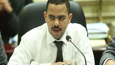 أشرف رشاد: يجب أن يخرج قانون المحليات يرضى جميع الأحزاب