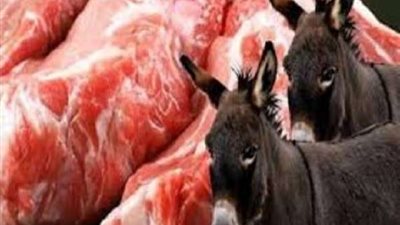 مجازر سوهاج يكشف تفاصيل ضبط سيارة محملة بـ50 حمارًا
