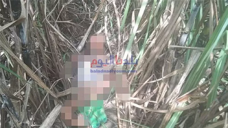 مصرع طفلة في حادث مروع بالبحيرة
