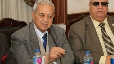 سفير نور: مصر لا تعرف فارق بين مسلم ومسيحي