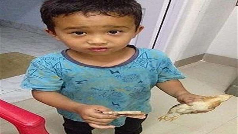 بلدنا اليوم