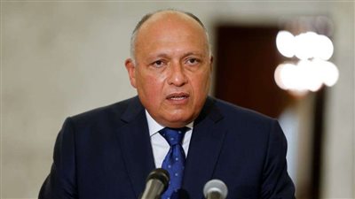 فيليب السادس ملك إسبانيا يستقبل وزير الخارجية سامح شكري لهذا السبب