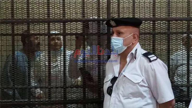 بعد الحكم عليها بالمشدد 3 سنوات.. محامي حنين حسام: هتخرج قريب