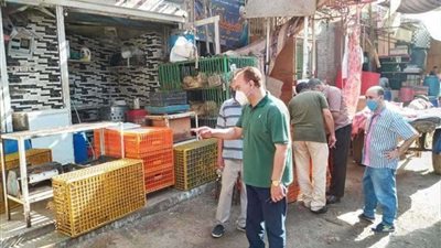 تحرير 59 محضرا تمويني للمخالفين في حملات موسعة بكفر الشيخ