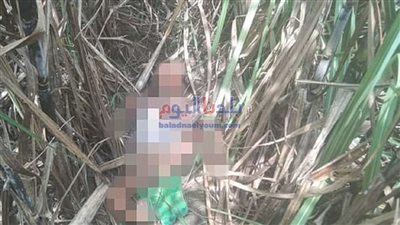 تحريات موسعة لكشف ملابسات العثور على جثة طفل في ظروف غامضة بالشرقية
