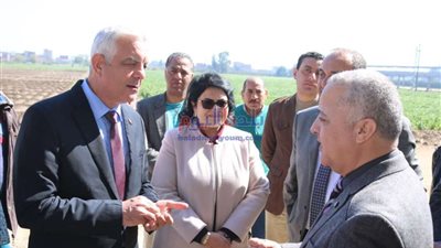 جامعة المنوفية تعقد دورات تدريبية لتنمية مهارات العاملين الجدد