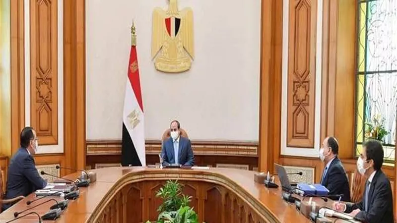 قرار جمهوري بإعادة تنظيم الهيئة العامة للطرق والكباري والنقل النهري