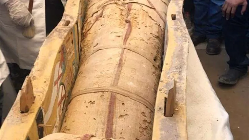 السياحة تنفي طرح الحكومة 351 قطعة أثرية للبيع بأحد المزادات الأمريكية