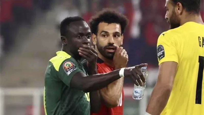 قبل قرارها اليوم .. نصوص لائحة انضباط 