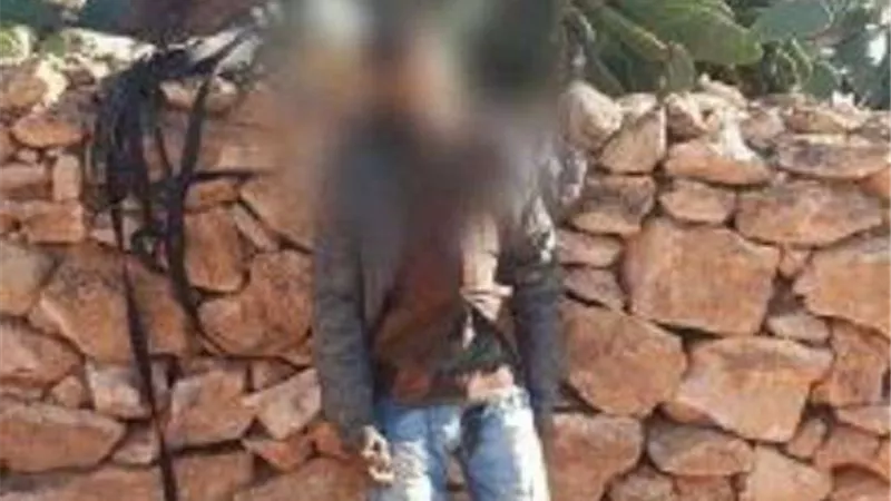 مشنوق بشجرة.. لغز العثور على جثة شخص في الشرقية