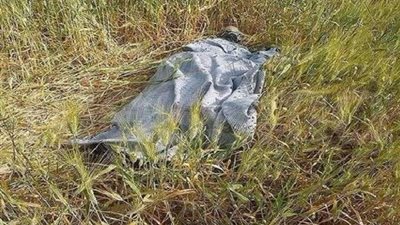 باع عشرة عمره بالساهل.. شاب يعذب صديقه ويلقي بجثته في ترعة الاسماعيلية