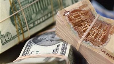 تراجع أمام الجنيه.. 