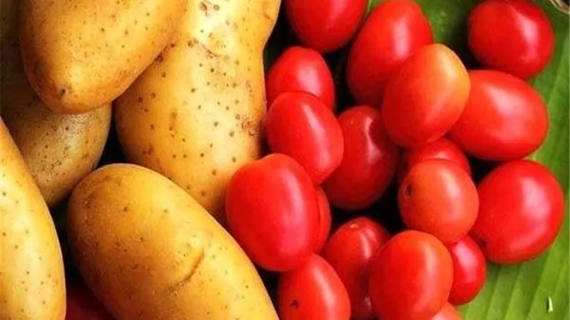 الطماطم والبطاطس.. أطعمة يومية تُسبب الموت ولا يجوز أكلها