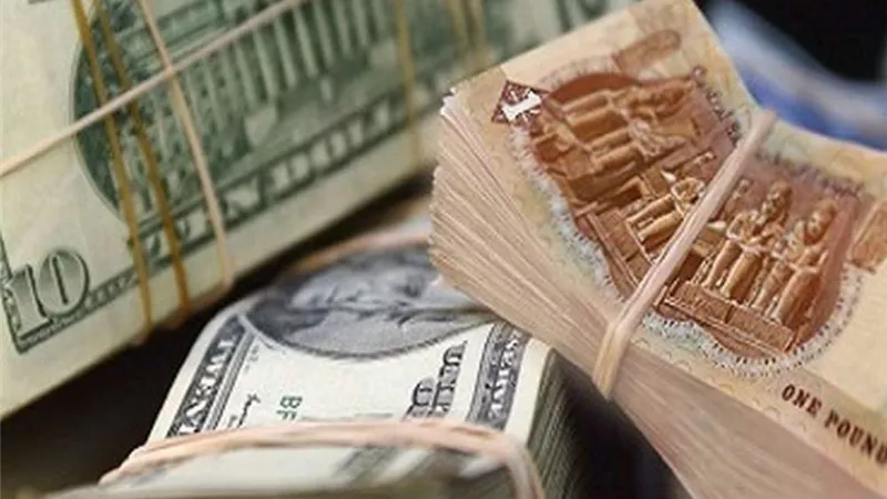 تراجع أمام الجنيه.. 