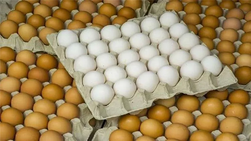 أسعار البيض اليوم الإثنين 25 - 4 - 2022