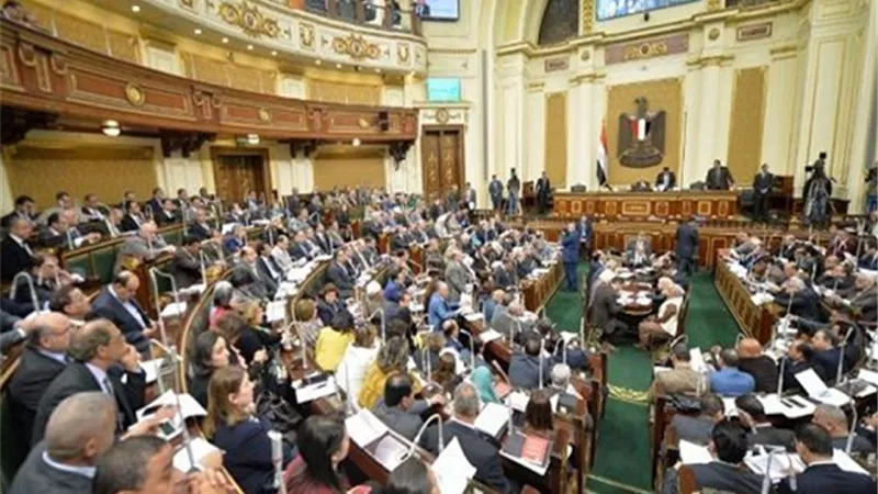 بعد واقعة المنصورة.. أول تحرك برلماني للانتصار لذوي الاحتياجات الخاصة
