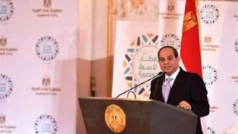 الرئيس السيسي يكلف الحكومة بدعم مزارعي القمح في مصر من خلال محفزات مادية