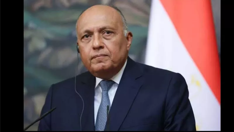 وزير الخارجية يتلقى اتصالاً هاتفياً من نظيره الكندى لاستعراض سبل التعاون بين البلدين