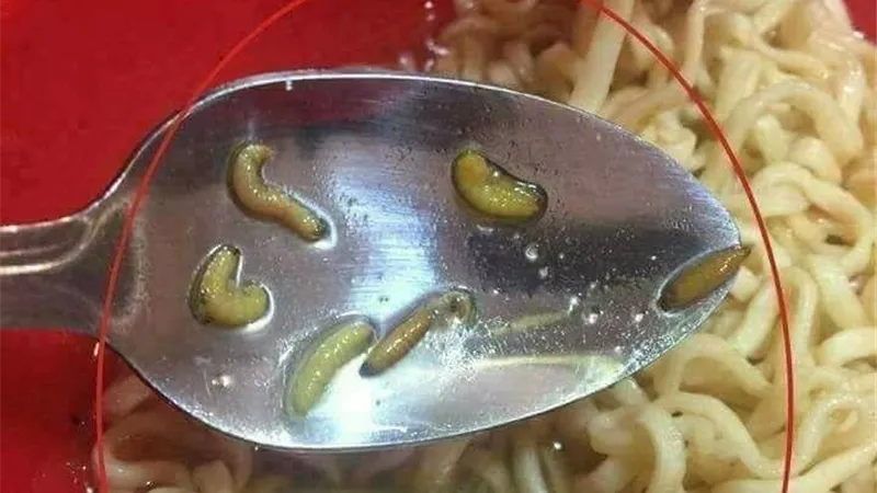 سلامة الغذاء تعلن عن 3 أنواع إندومي ممنوعة من التداول