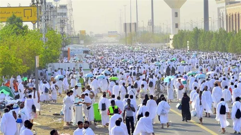 عاجل| التضامن تعلن انخفاض أسعار الحج هذا العام