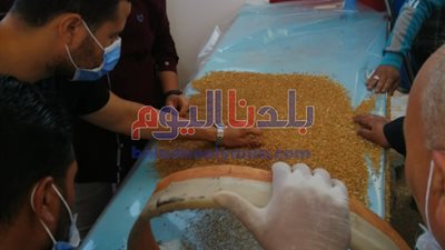 وزير التموين: فتح جميع مواقع استلام الأقماح المحلية للعمل بشكل منتظم