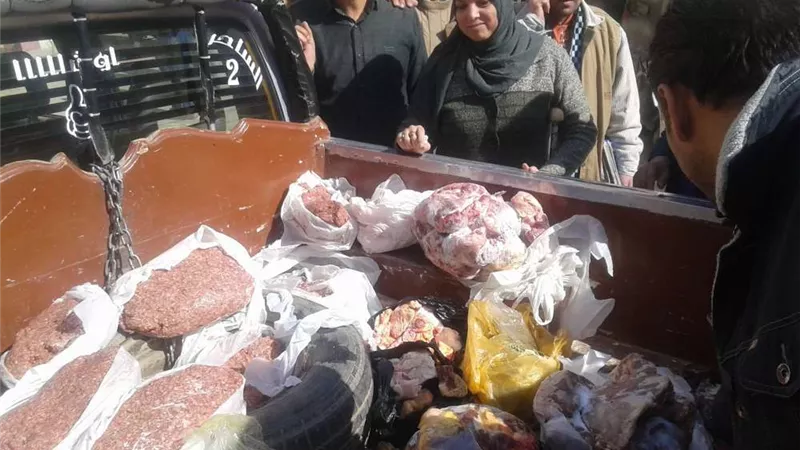 ضبط 14 طن أحشاء حيوانية متحللة قبل ترويجها على المطاعم بالجيزة
