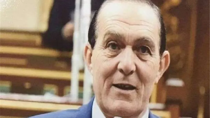 النائب نافع هيكل: المصانع العشوائية والمحلات غي المرخصة تصل لـ80%
