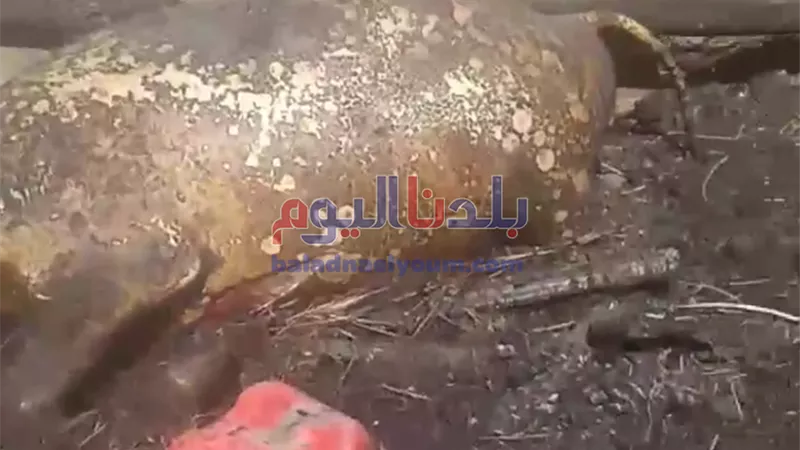 دون إصابات.. الحماية المدنية تسيطرعلى حريق حظيرة مواشي بكرداسة