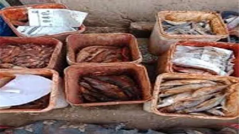 ضبط 3 طن أسماك غير صالحة للاستهلاك الآدمي بالعبور