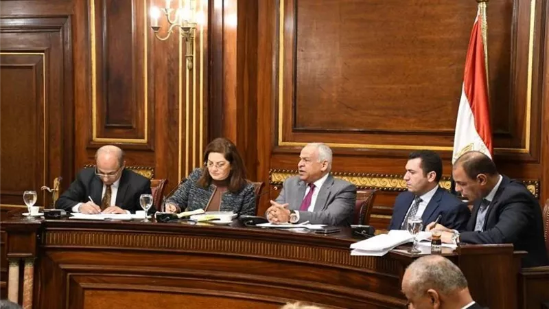 وزيرة التخطيط: 99.5 مليار جنيه استثمارات الصناعة بمصر خلال 2019