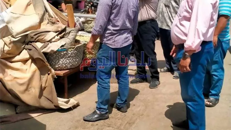 رئيس مدينة أشمون يقود حمله مكبرة لرفع وإزالة الإشغالات